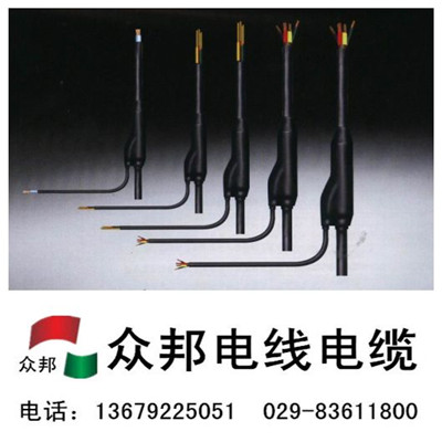 預分支電纜