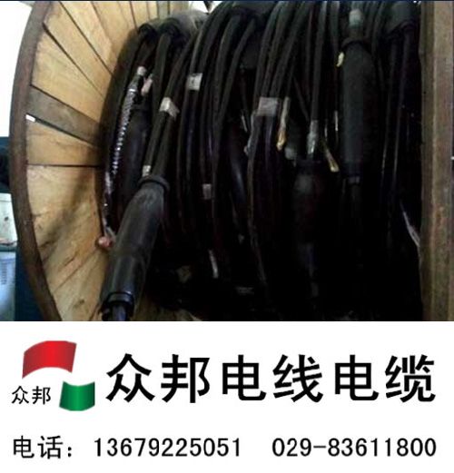 預分支電纜