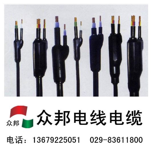 預分支電纜 YFD