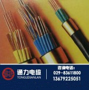 低煙無鹵電纜展示