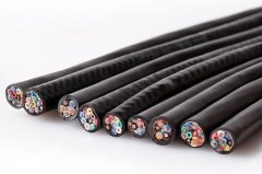 RVVP聚氯乙烯緣屏蔽電線型號(hào)規(guī)格參數(shù)
