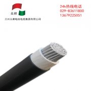 防老化線型號規格參數表BX、BLX、BLXY