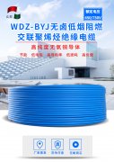 WDZ-BYJ是什么線？